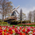 Keukenhof
