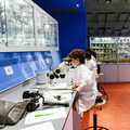 Nemo Museum